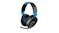 Turtle Beach Recon 70P Gaming Headset for PS4 - Black