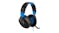 Turtle Beach Recon 70P Gaming Headset for PS4 - Black