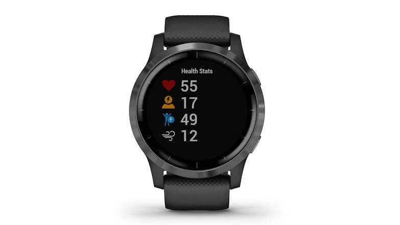 Garmin vivoactive 4 - Black/Slate