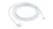 Apple Lightning to USB Cable - 2m