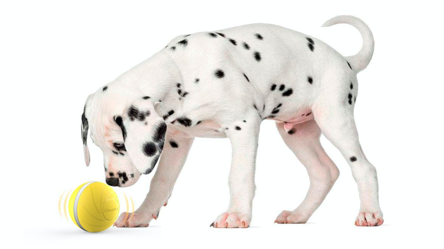 Cheerble Wicked Ball Robotic Pet Toy - Yellow