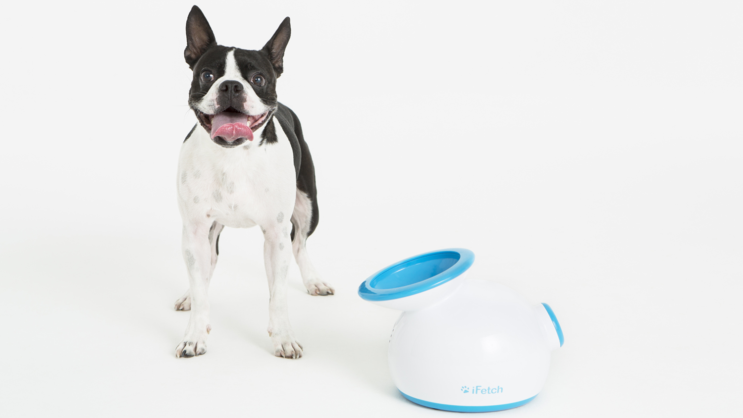 iFetch Original Ball Launcher Harvey Norman New Zealand