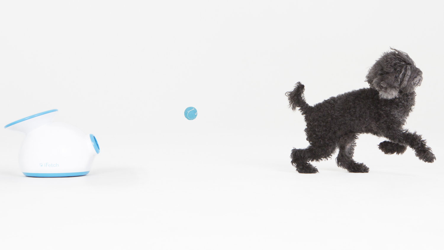 iFetch Original Ball Launcher Harvey Norman New Zealand