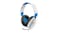 Turtle Beach Recon 70P Gaming Headset for PS4 White