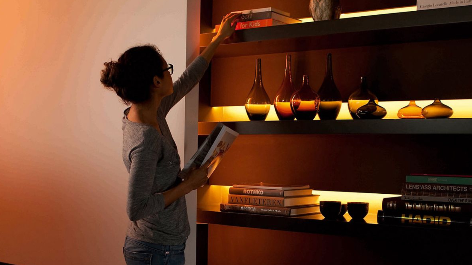 Philips Hue White and Color Ambiance Lightstrip Extension - 1M