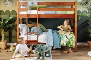 Noah Single Bunk Bed Frame by Coastwood Furniture - Rimu