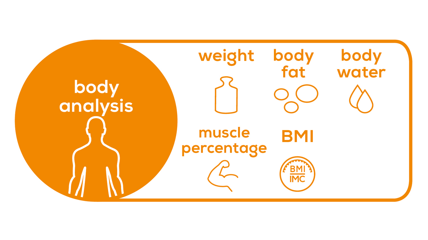 Beurer BG13 Digital Glass Body Fat Scale Harvey Norman New Zealand