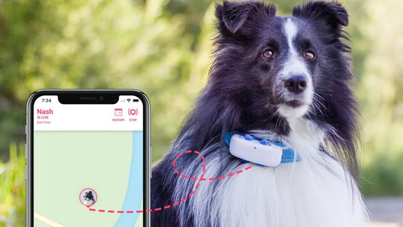 Tractive GPS Dog 4