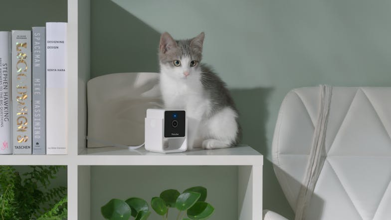 Petcube Cam