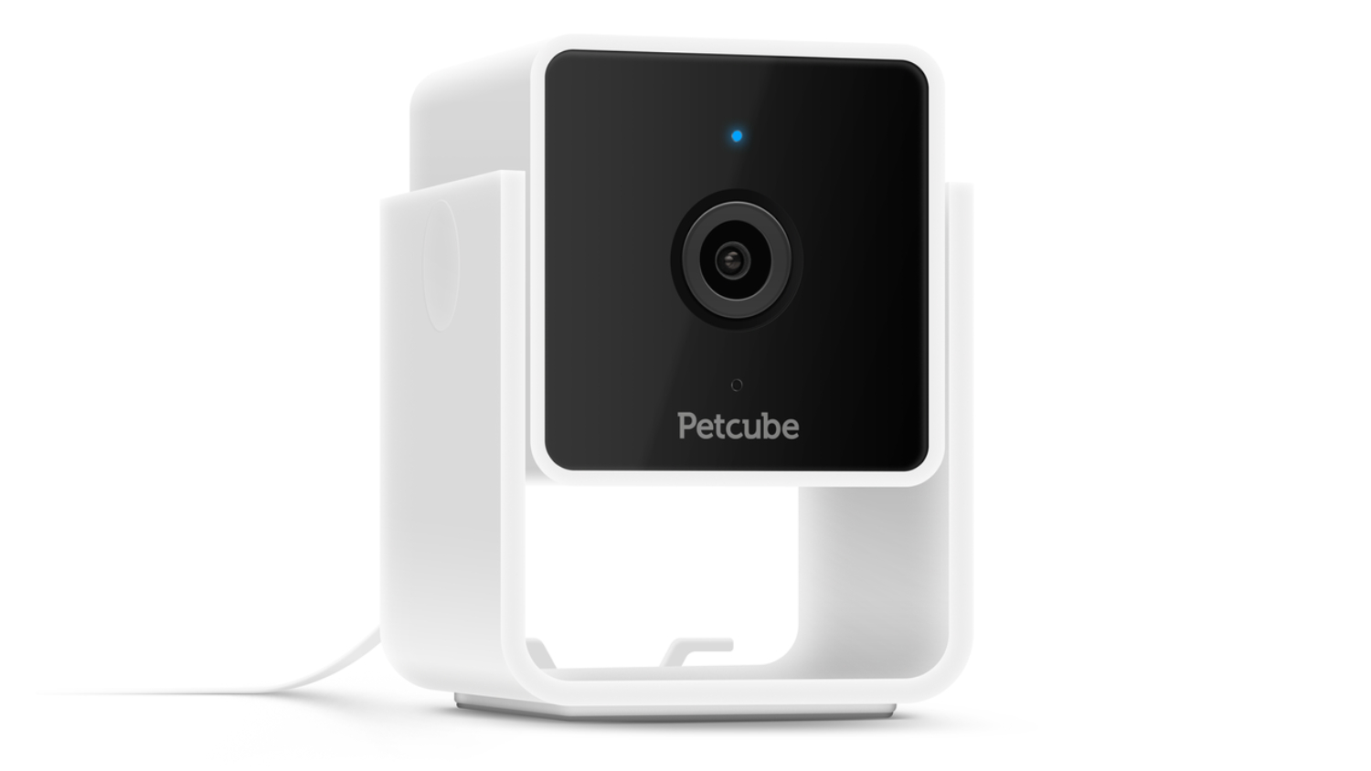 Petcube Cam Harvey Norman New Zealand