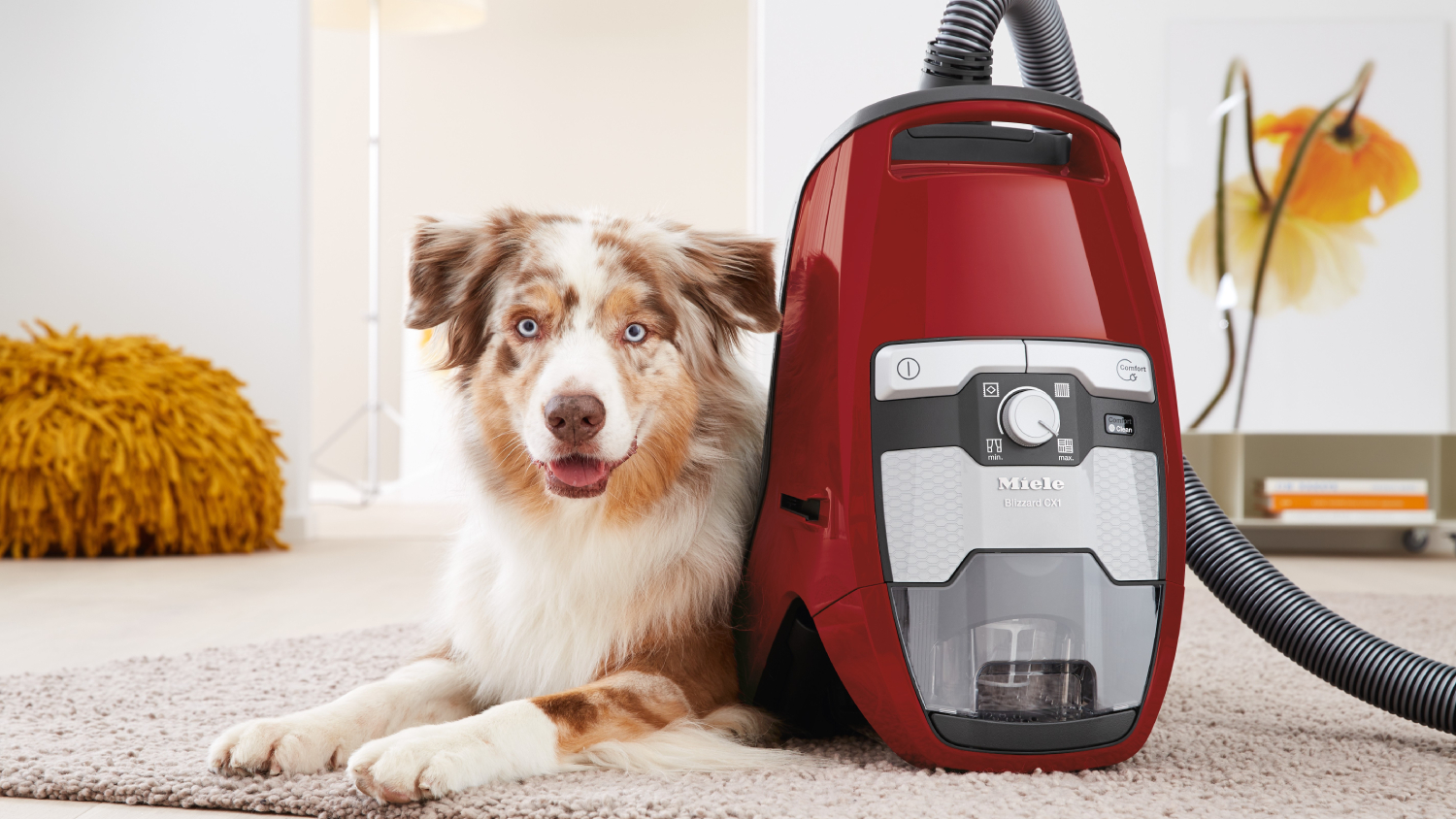 Miele Blizzard CX1 Cat & Dog Vacuum Cleaner