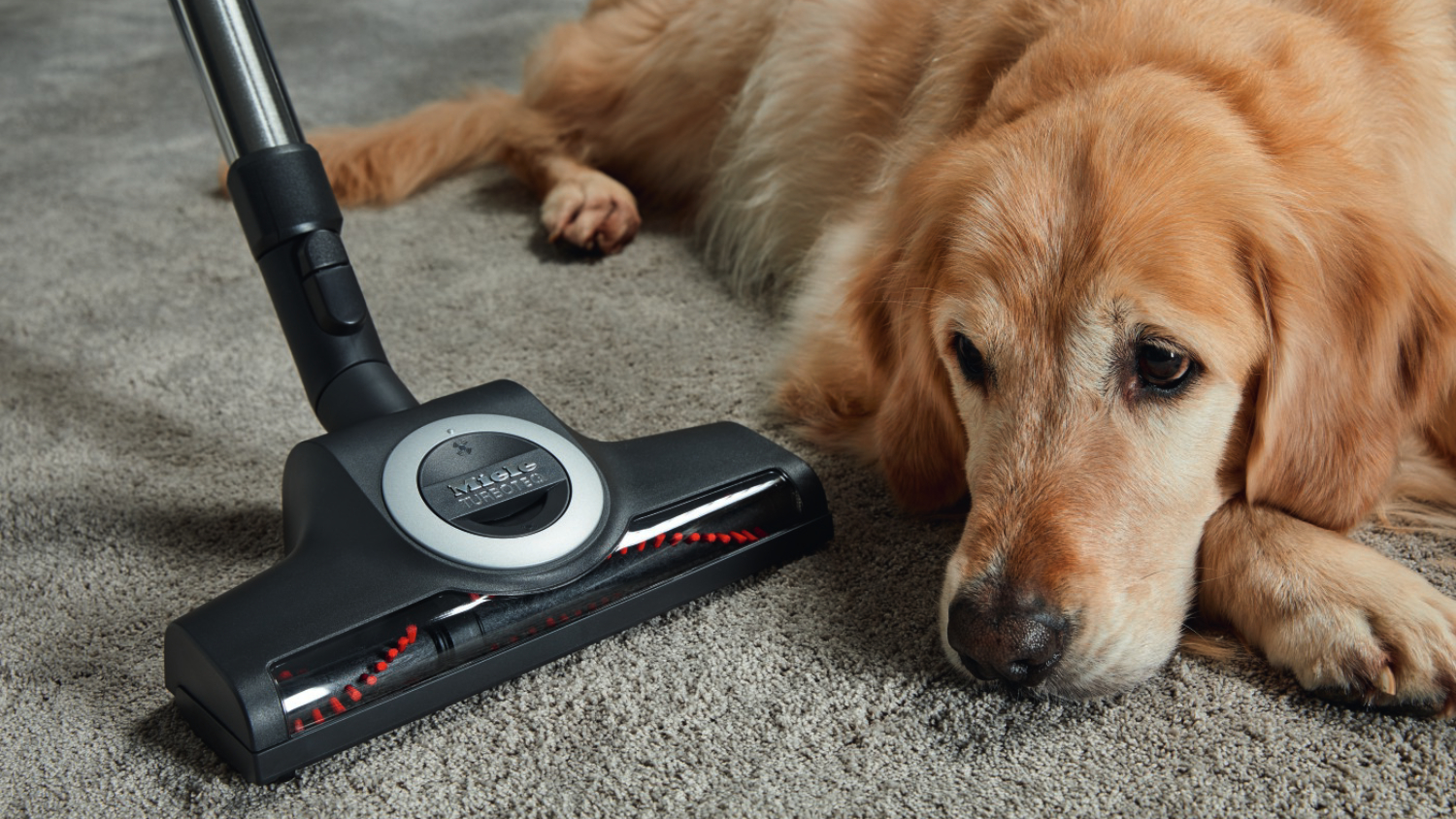 Miele C3 Cat \u0026 Dog Vacuum Cleaner 