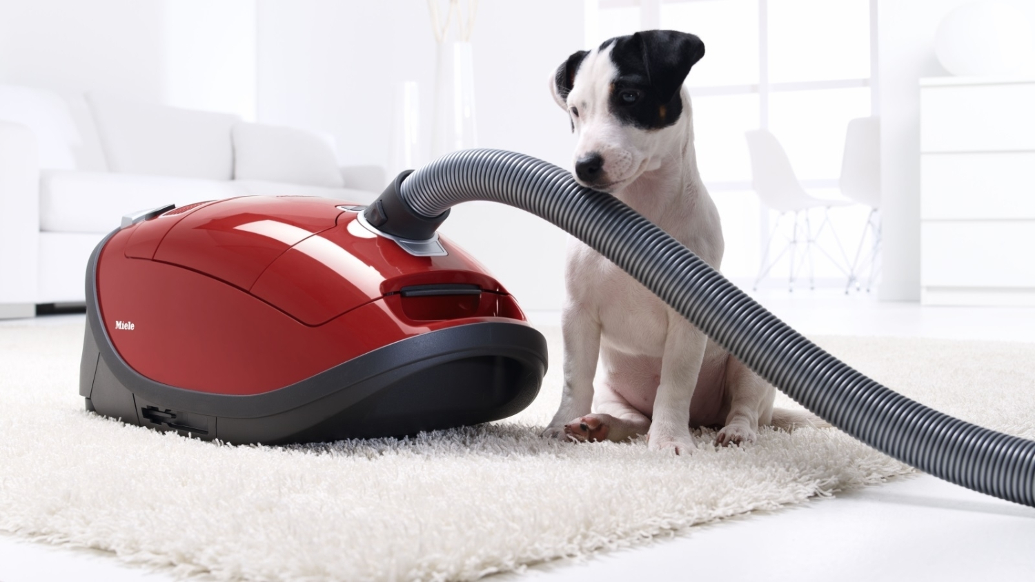 Buy Vacuum, Cleaner & Floorcare Harvey Norman New Zealand
