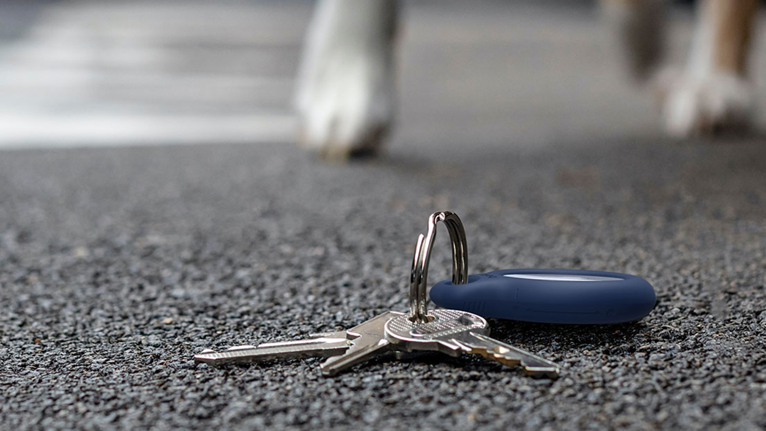 Belkin AirTag Keyring Holder - Blue