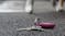 Belkin AirTag Keyring Holder - Pink