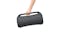 Sony XG500 Portable Wireless Speaker - Black