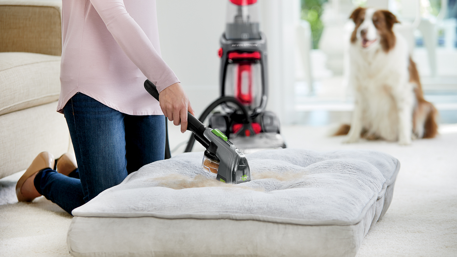 Bissell ProHeat 2X Revolution Pet 