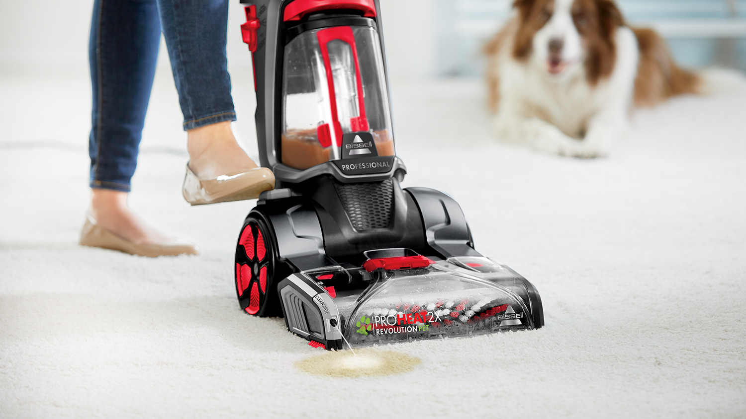 Carpet Cleaners Get a truly deep clean with a carpet cleaner Harvey