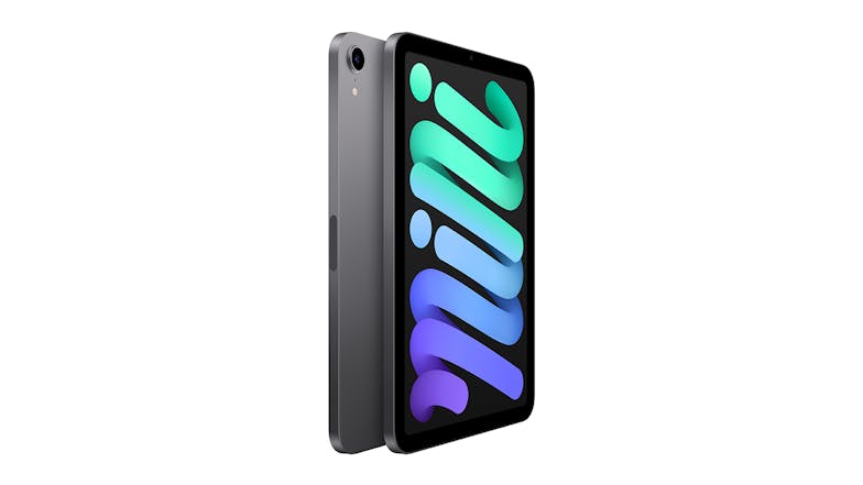 iPad mini 8.3" Wi-Fi 64GB - Space Grey (2021)