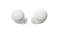 Sony WF-C500 True Wireless In-Ear Headphones - White