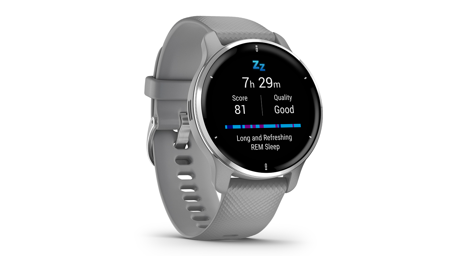 Garmin Venu 2 Plus - Powder Grey/Passivated