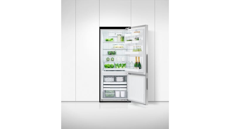 Fisher & Paykel 413L Bottom Mount Fridge Freezer with Water Dispenser - Stainless Steel (Series 5/RF442BRPUX6)