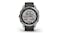 Garmin Fenix 7 - Silver with Graphite Band