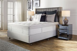 Bellevue Firm Queen Bed by Sealy Posturepedic