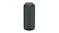 Sony SRS-XE300 Portable Bluetooth Speakers - Black