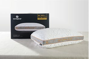 Storm Series 2.0 Pillow by Bedgear