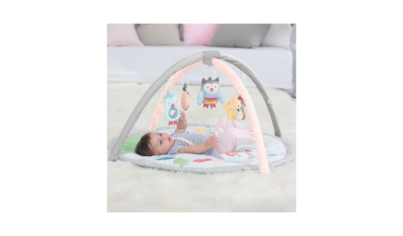 Skip Hop Treetop Friends Baby Activity Gym - Grey/Pastel