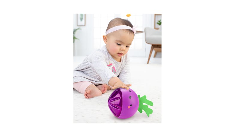 Skip Hop Farmstand Beetbox Crawl Ball - Purple