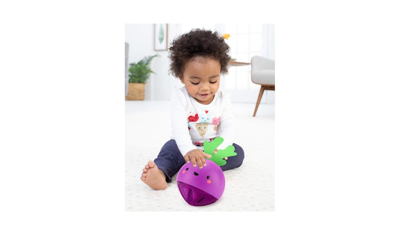 Skip Hop Farmstand Beetbox Crawl Ball - Purple