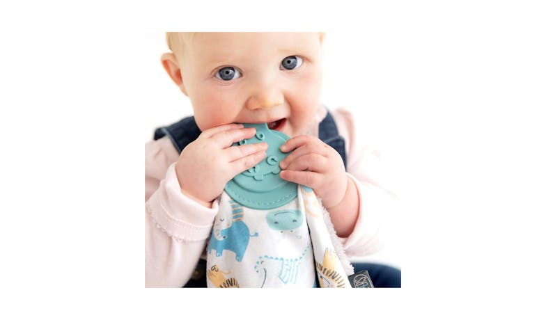 Cheeky Chompers Comforter with Teether - Cheeky Animals Comfortchew