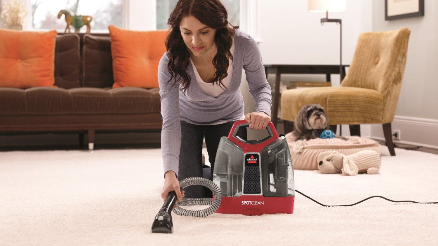 Carpet Cleaners Get a truly deep clean with a carpet cleaner Harvey