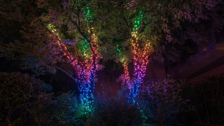 Twinkly Smart String 250 LED RGBW Lights