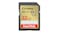 SanDisk Extreme SDHC Card - 32GB