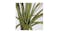 Soga 145cm Artificial Dragon Blood Plant