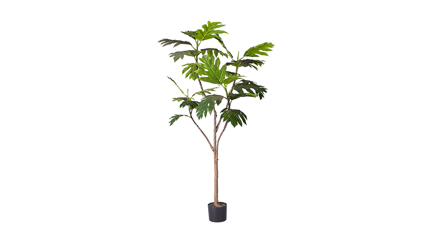Soga 180cm Artificial Philodendron Plant Harvey Norman New Zealand
