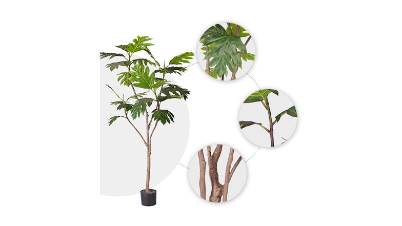 Soga 180cm Artificial Philodendron Plant