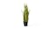 Soga 70cm Artificial Yellow Edge Tiger Piran Plant