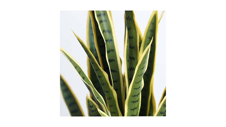 Soga 50cm Artificial Yellow Snake Plant