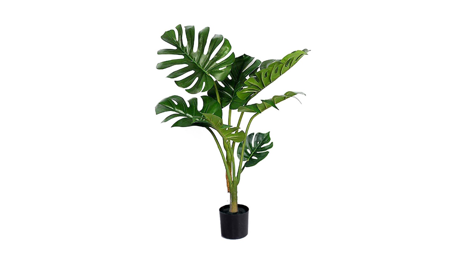 Soga 120cm Artificial Turtle Back Plant Harvey Norman New Zealand