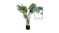 Soga 80cm Artificial Turtle Back Plant