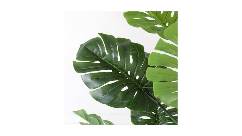 Soga 80cm Artificial Turtle Back Plant