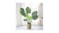 Soga 80cm Artificial Turtle Back Plant