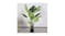 Soga 93cm Artificial Turtle Back Plant