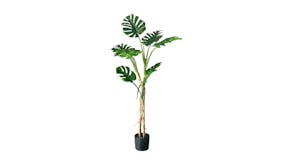 Soga 160cm Artificial Turtle Back Plant