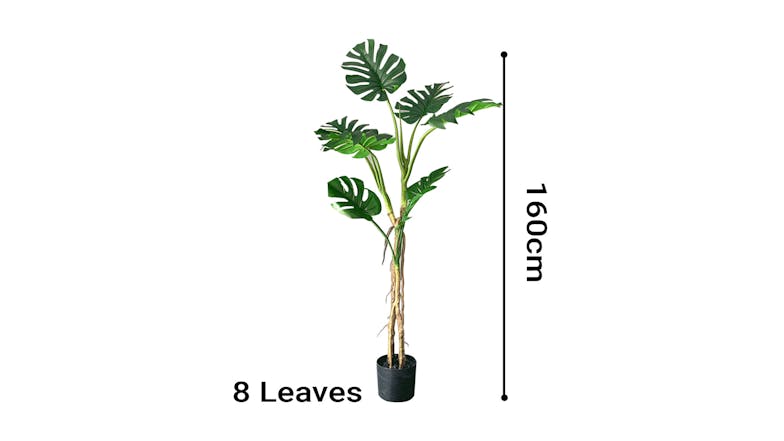 Soga 160cm Artificial Turtle Back Plant