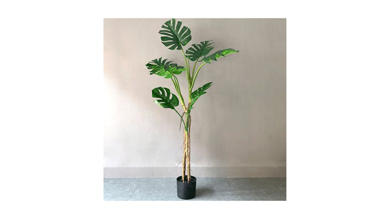 Soga 160cm Artificial Turtle Back Plant